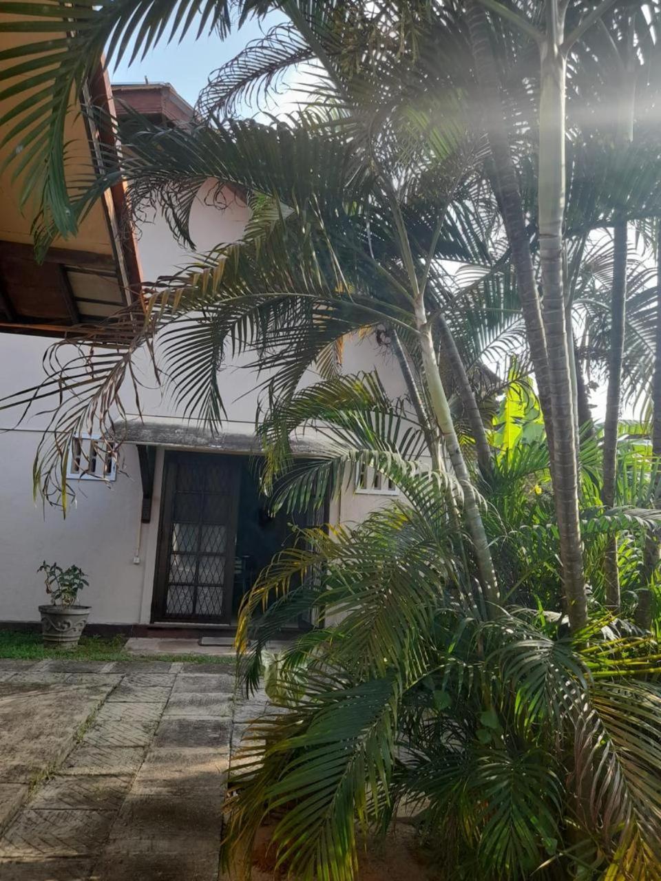 Fuchs Villas Negombo Kültér fotó