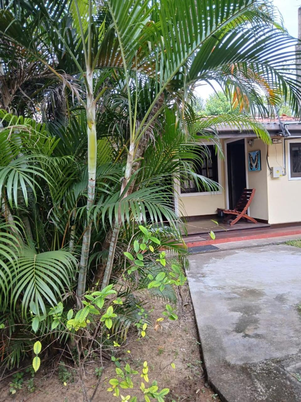 Fuchs Villas Negombo Kültér fotó
